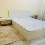 Kirayə (aylıq) 2 otaqlı Yeni Tikili, 28 May metrosu, Nəsimi rayonu 12