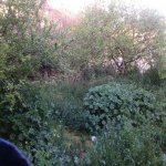 Satılır Torpaq, Bakıxanov qəs., Sabunçu rayonu 6
