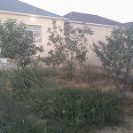 Satılır 3 otaqlı Həyət evi/villa, Zabrat qəs., Sabunçu rayonu 2