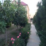 Satılır 10 otaqlı Bağ evi, Goradil, Abşeron rayonu 27