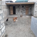 Satılır 4 otaqlı Həyət evi/villa, Şağan, Xəzər rayonu 26