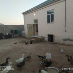 Satılır 3 otaqlı Həyət evi/villa, Hövsan qəs., Suraxanı rayonu 8