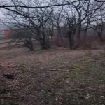 Satılır Torpaq Xızı 1