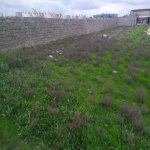 Продажа Участок, пос. Маштага, Сабунчу район 4