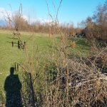 Satılır Torpaq Oğuz 5