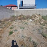 Satılır Torpaq, Mərdəkan, Xəzər rayonu 3