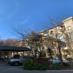 Аренда 2 комнатная Вторичка, м. Эльмляр Академиясы метро, Парк Г.Джавида, Ясамал район 2