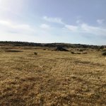 Satılır Torpaq, Novxanı, Abşeron rayonu 4