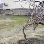 Satılır Torpaq, Azadlıq metrosu, Rəsulzadə qəs., Binəqədi rayonu 3