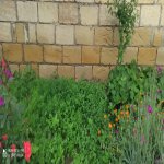 Satılır 4 otaqlı Həyət evi/villa Sumqayıt 15