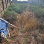 Продажа Участок, Шювалан, Хязяр район 2