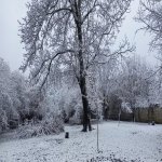 Продажа Участок Гябяля 2