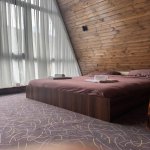 Kirayə (günlük) 5 otaqlı Həyət evi/villa Qəbələ 21