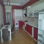 Kirayə (aylıq) 4 otaqlı Yeni Tikili, Nəriman Nərimanov metrosu, Montin qəs., Nərimanov rayonu 9
