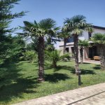 Kirayə (günlük) 4 otaqlı Həyət evi/villa, Türkan, Xəzər rayonu 2