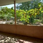 Satılır 6 otaqlı Həyət evi/villa, Əmircan qəs., Suraxanı rayonu 8