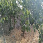Satılır Torpaq, Kürdəxanı qəs., Sabunçu rayonu 2
