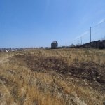 Satılır Torpaq, Saray, Abşeron rayonu 3