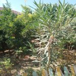 Satılır 3 otaqlı Həyət evi/villa, Xəzər rayonu 12