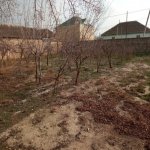 Satılır Torpaq Hacıqabul 1