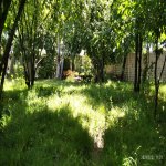 Посуточно 3 комнатная Дома/Виллы Исмаиллы 22