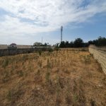 Satılır Torpaq, Novxanı, Abşeron rayonu 6