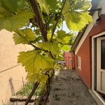 Продажа 4 комнат Дома/Виллы, м. Короглу метро, пос. Рамана, Сабунчу район 4