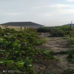 Satılır Torpaq, Fatmayi, Abşeron rayonu 14
