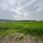 Продажа Участок Исмаиллы 4