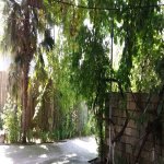 Satılır 10 otaqlı Həyət evi/villa Sabirabad 8