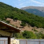 Kirayə (günlük) 3 otaqlı Həyət evi/villa İsmayıllı 1