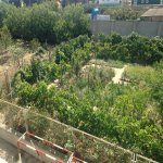 Satılır 6 otaqlı Bağ evi, Goradil, Abşeron rayonu 31