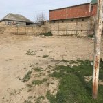 Satılır Torpaq, Saray, Abşeron rayonu 3