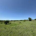 Satılır Torpaq İsmayıllı 4