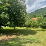 Kirayə (günlük) 3 otaqlı Bağ evi İsmayıllı 3