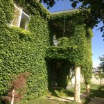 Kirayə (günlük) 6 otaqlı Həyət evi/villa İsmayıllı 2