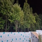 Kirayə (günlük) 3 otaqlı Həyət evi/villa Qəbələ 24