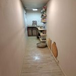 Продажа 5 комнатная Дома/Виллы, пос. Бадамдар, Сябаиль район 8