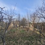 Satılır Torpaq, Masazır, Abşeron rayonu 14