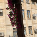 Kirayə (aylıq) 2 otaqlı Köhnə Tikili, İçərişəhər metrosu, Qız Qalası, Səbail rayonu 7