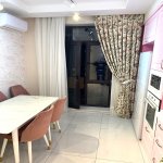 Продажа 1 комнатная Новостройка, м. Гянджлик метро, Насими район 4