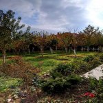 Satılır 10 otaqlı Həyət evi/villa, Masazır, Abşeron rayonu 16