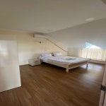 Kirayə (günlük) 5 otaqlı Həyət evi/villa Qəbələ 11
