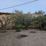Kirayə (aylıq) 2 otaqlı Bağ evi, Pirşağı qəs., Sabunçu rayonu 13