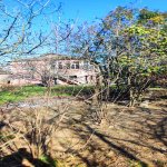 Satılır 10 otaqlı Həyət evi/villa, Şağan, Xəzər rayonu 16