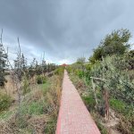 Satılır 6 otaqlı Həyət evi/villa, Novxanı, Abşeron rayonu 28