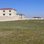 Satılır Torpaq, Yeni Suraxanı qəs., Suraxanı rayonu 5