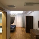 Kirayə (aylıq) 2 otaqlı Yeni Tikili, Gənclik metrosu, Nərimanov rayonu 11
