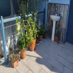 Satılır 4 otaqlı Həyət evi/villa, Buzovna, Xəzər rayonu 34