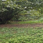 Satılır 3 otaqlı Həyət evi/villa Tərtər 13